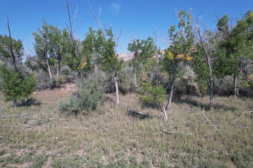 Aa5cfe46-c812-4186-aa1a-05b56d3dd993 1 105 c