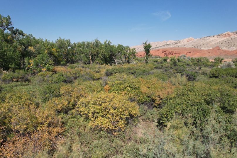 C116ff24-785c-407f-bbff-c72f426d7174 1 105 c