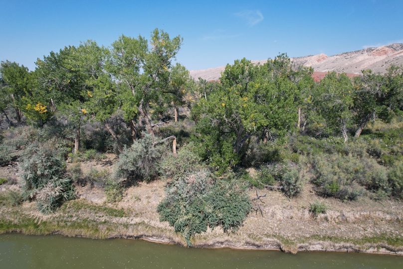 Fe0113dc-d354-4f6b-a4d6-94319e745255 1 105 c