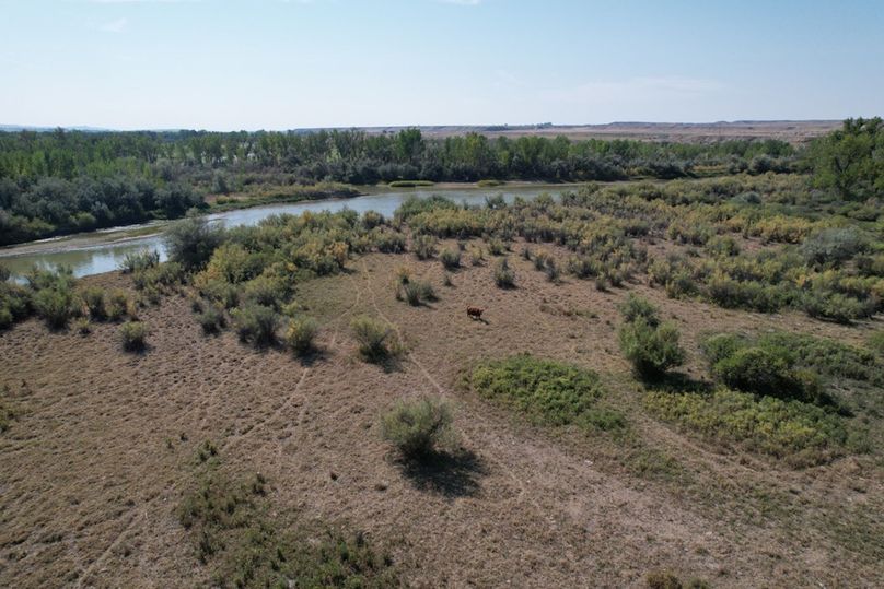 11c7f1de-0ed9-4bb4-be79-02f67c2a1270 1 105 c