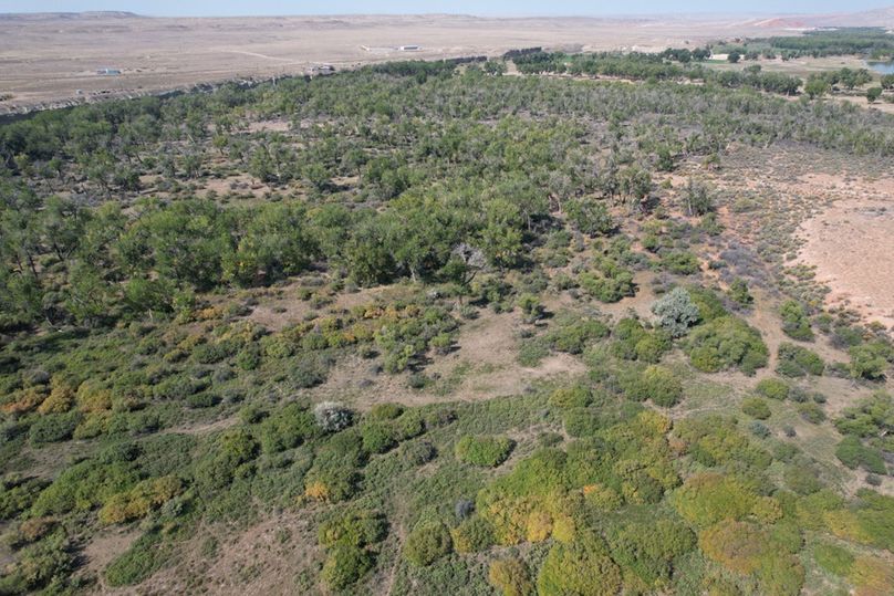 24a35382-f5c5-41fd-84dc-eba9d5128b1d 1 105 c