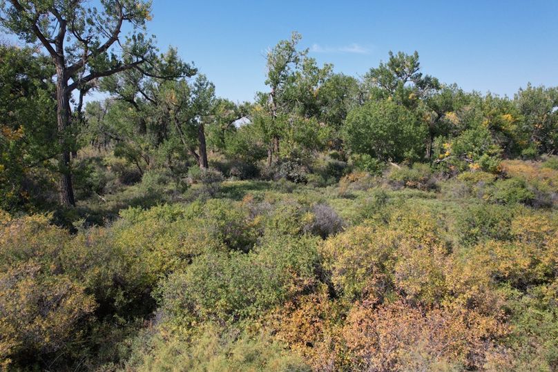 6fcfdbf1-e83f-43df-b0bf-8cbaac811f0d 1 105 c