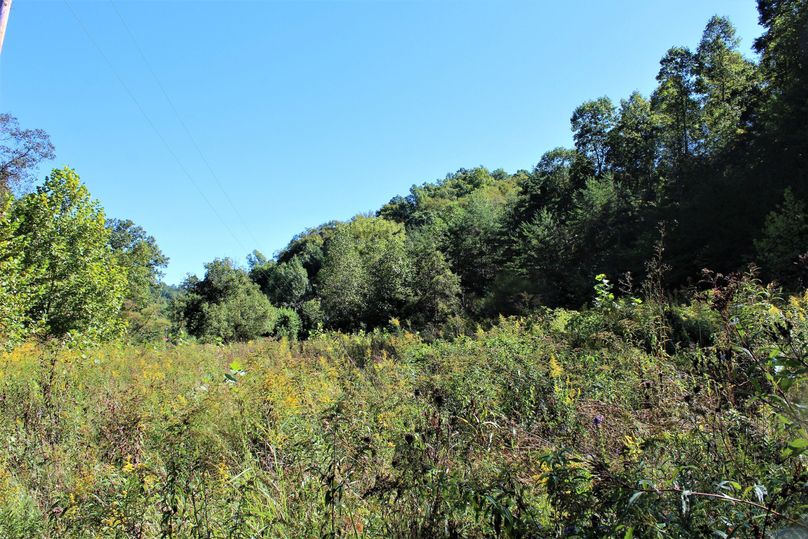 001 open field area to the east of the barn