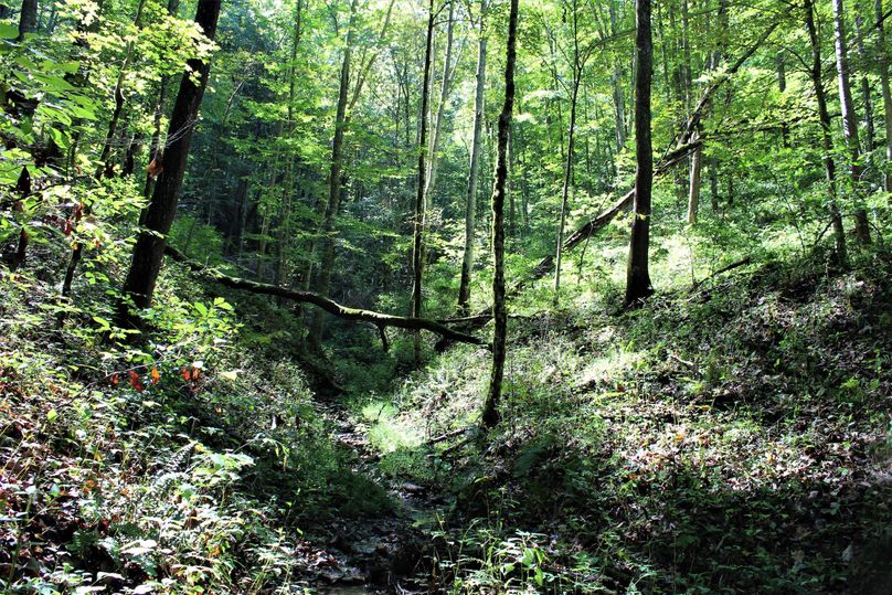 002 open valley ascending to the south up near the ridge