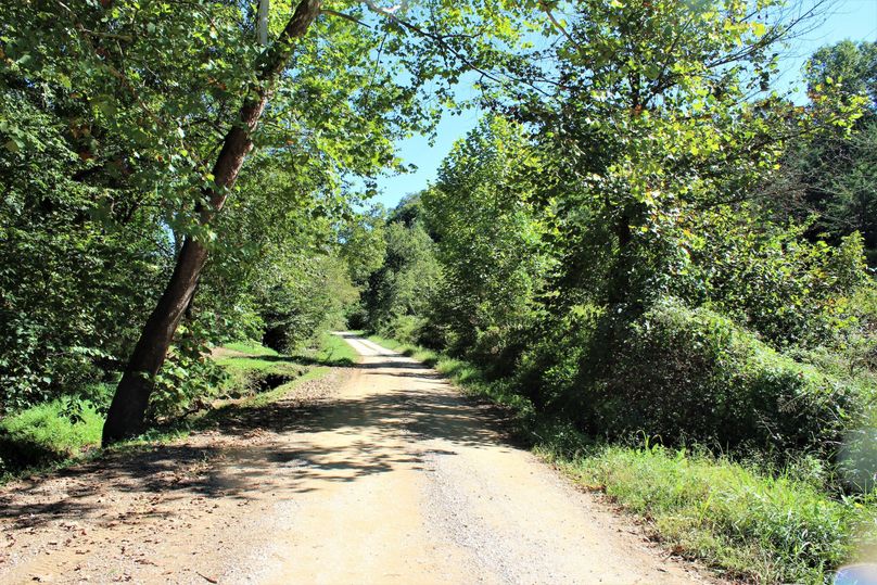 006 gravel county road leading along the north boundary