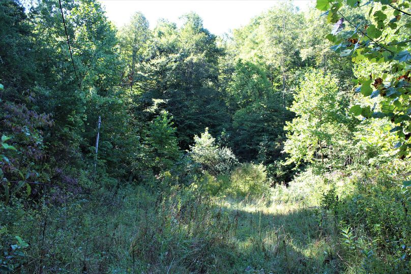 012 the old home site above the barn with electric