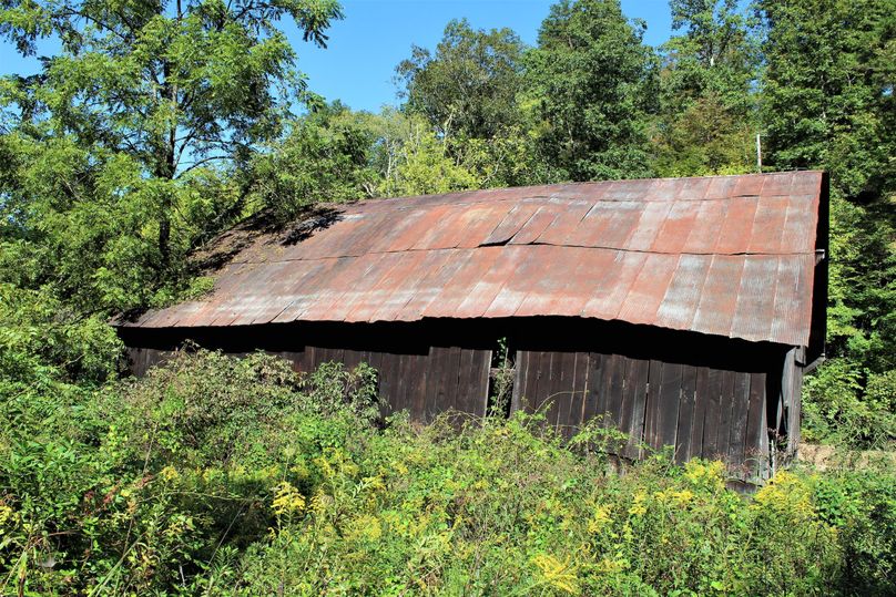 018 the barn near the road