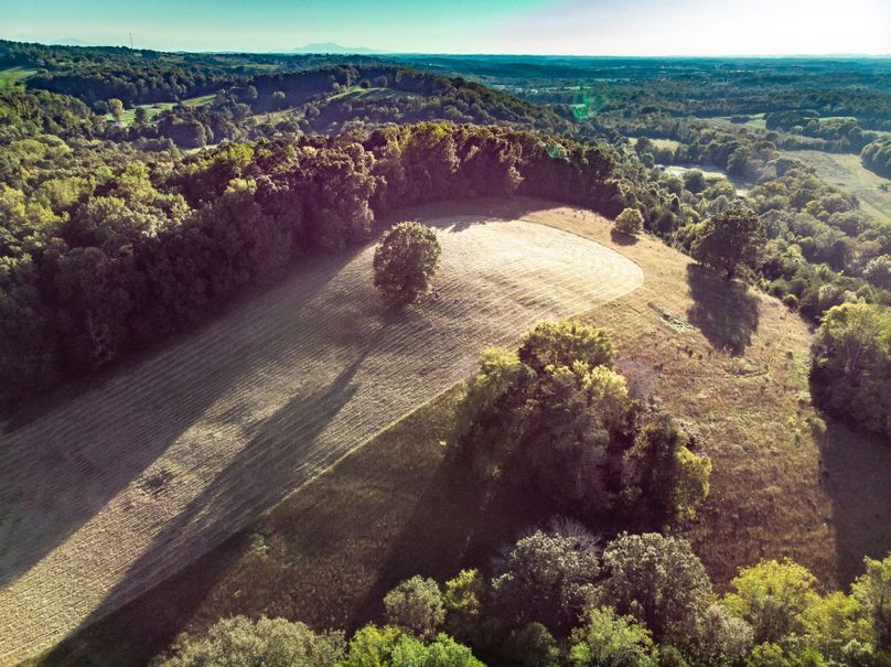 1530ironbridgem-air 019