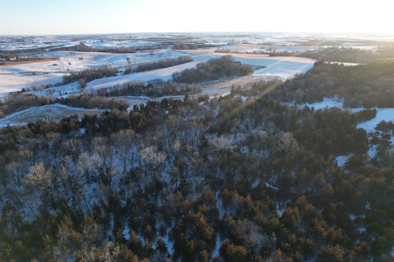 DJI_0495