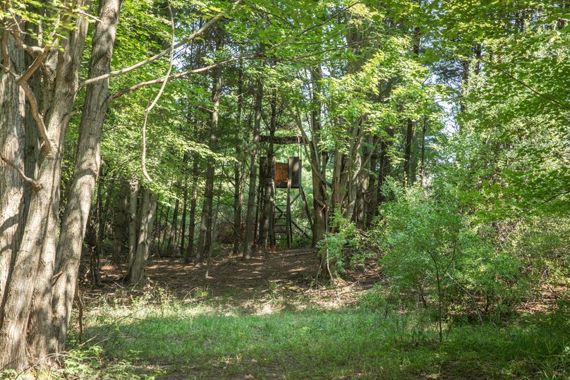 19 4 elevated blinds in place