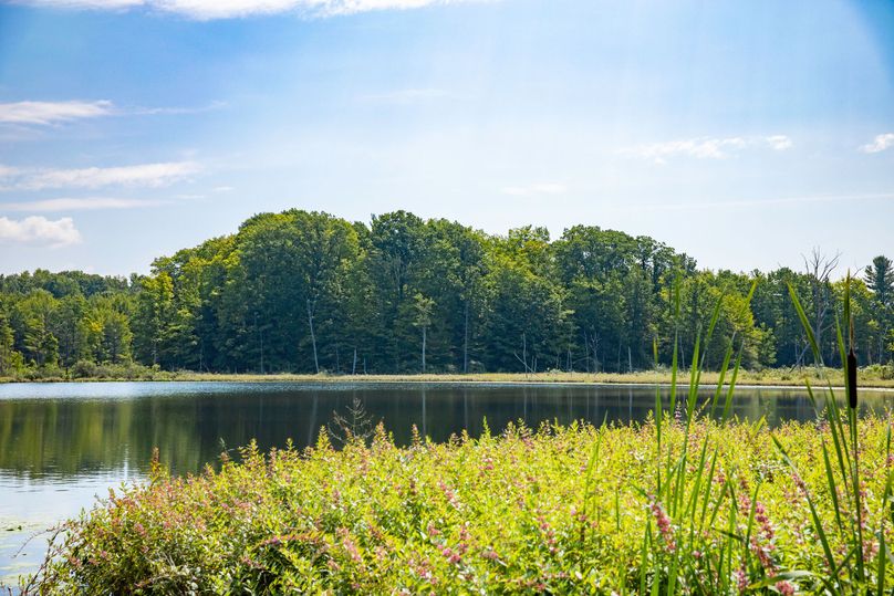 1 mason co 79 acres with frontage on dockery lake