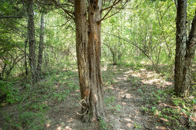 24 big rubs and heave trails