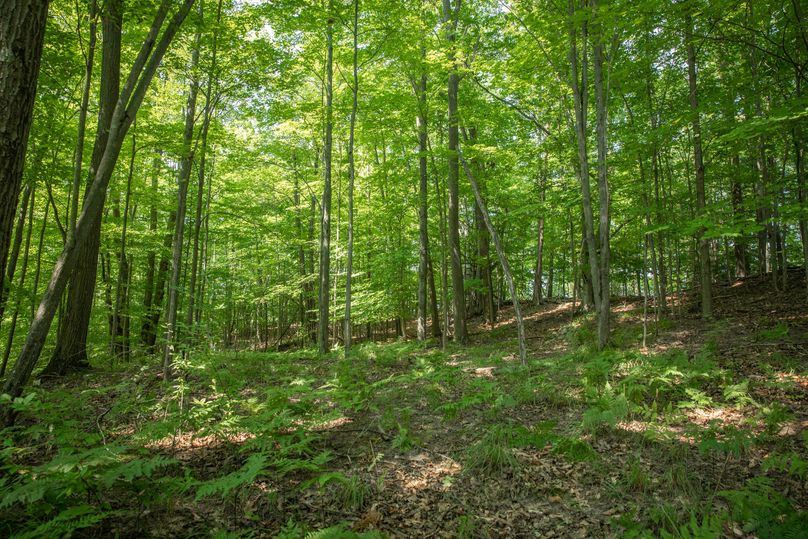 24 rolling oak ridges