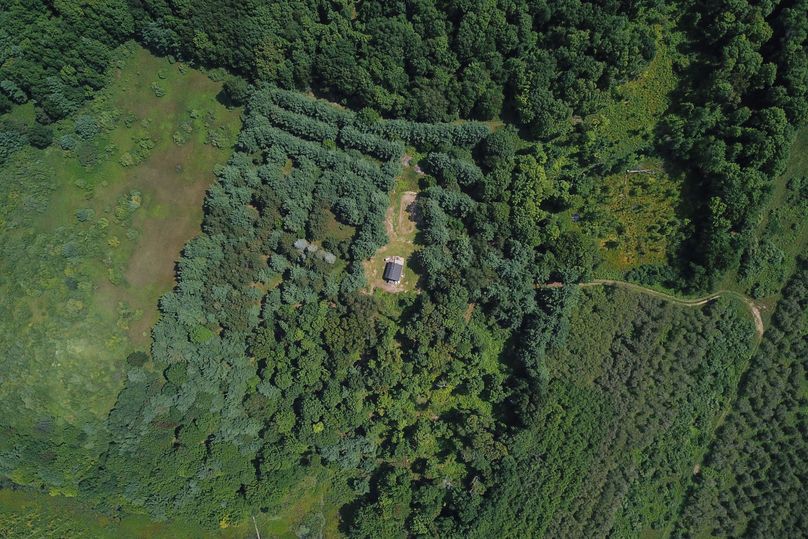 26 cabin nestled in the timber