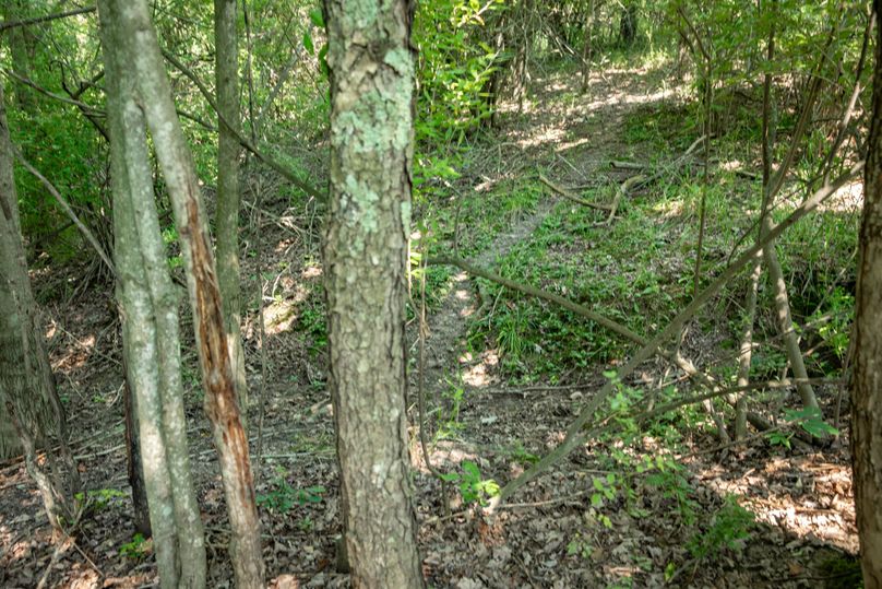 28 more heavy trails