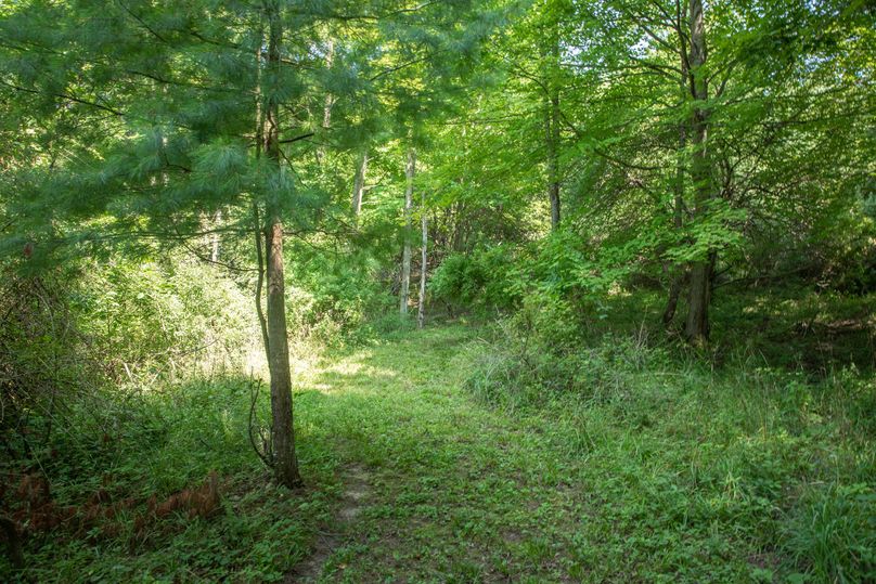 23 established trail system for easy access to your stands