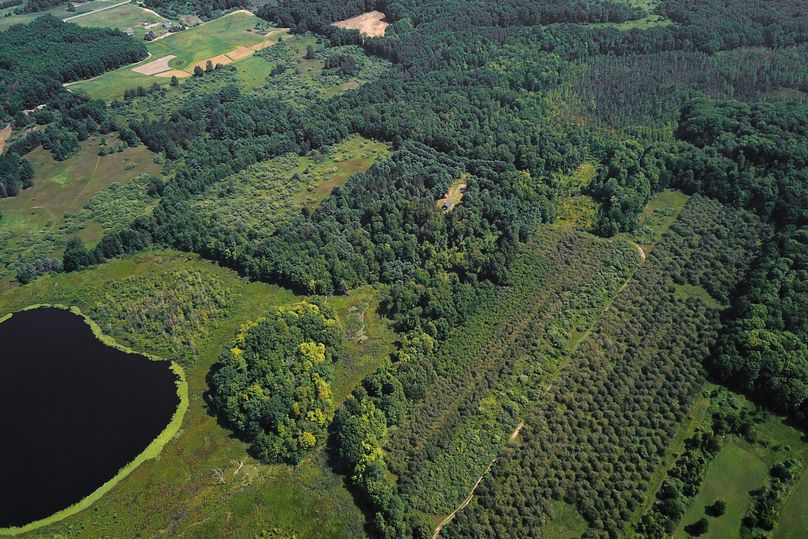 2 aerial of mason 79