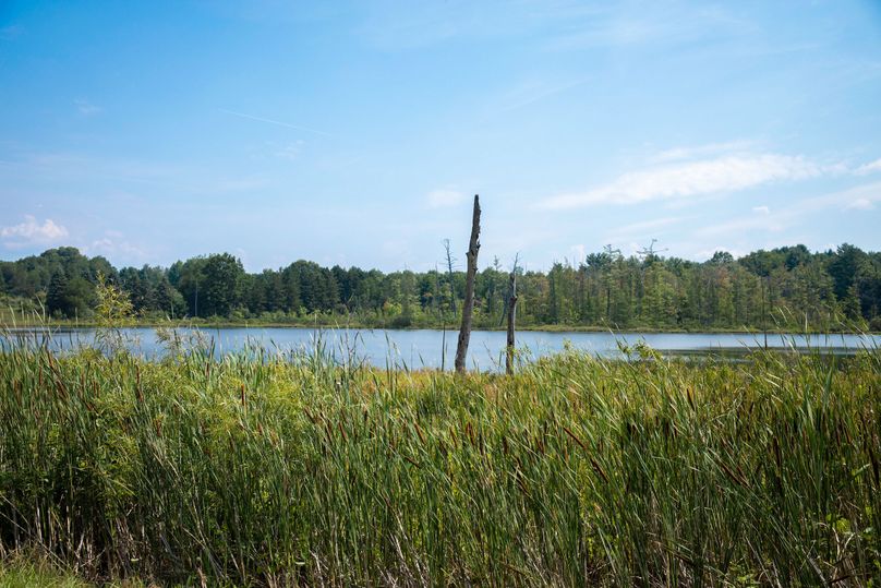 35 fantastic waterfowl hunting and fishing on dockery lake