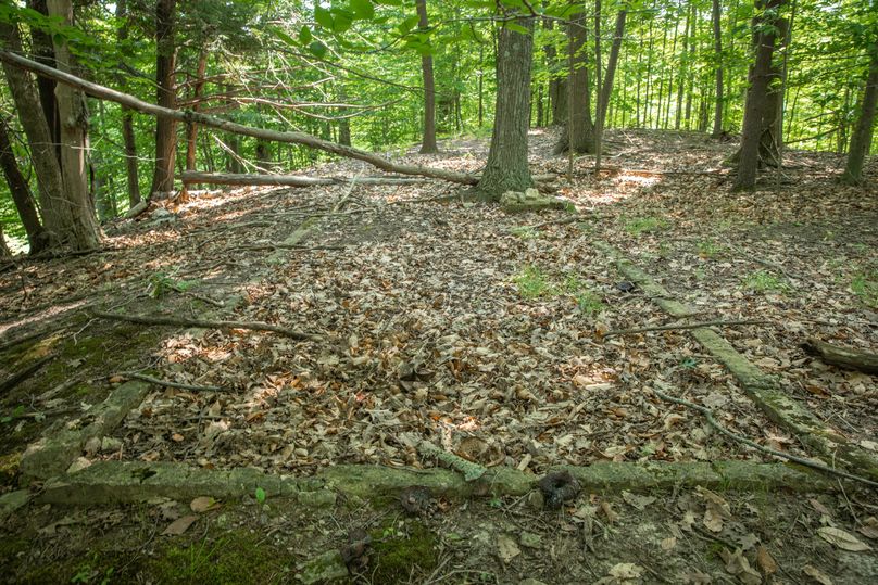 31 old homestead on the island