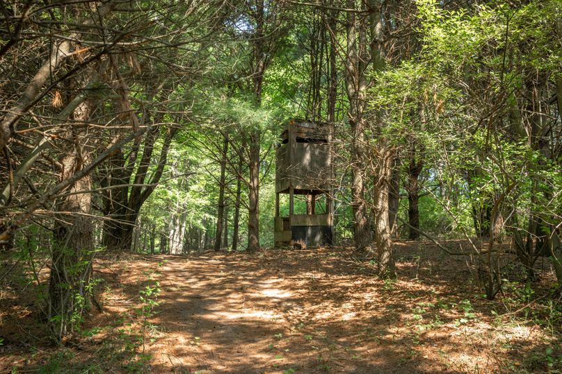 3 turnkey hunting property