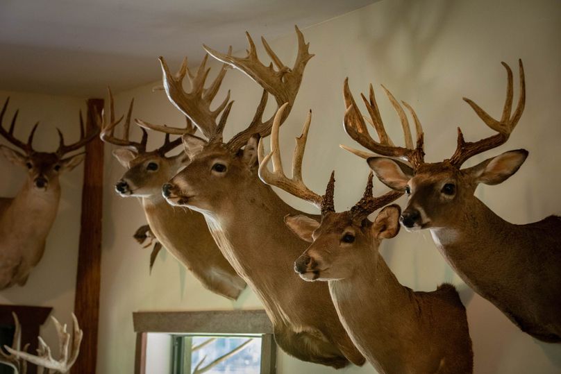 43 ranch 4 house deer