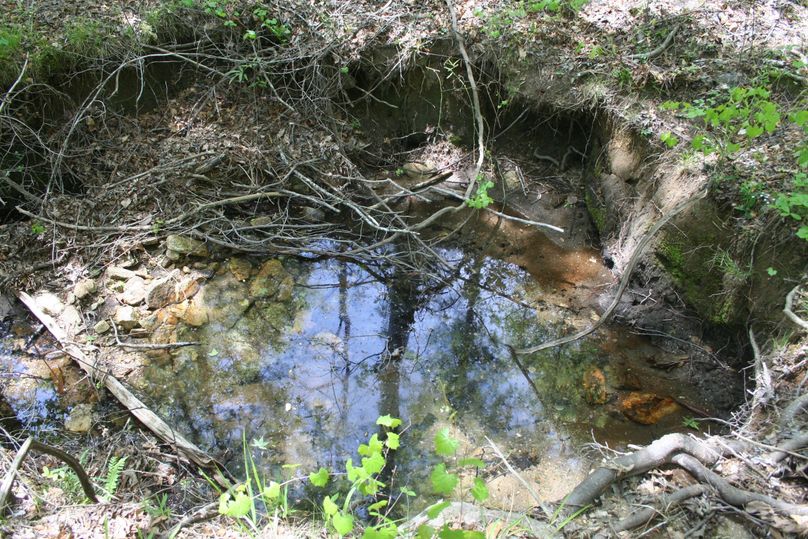 39- water hole