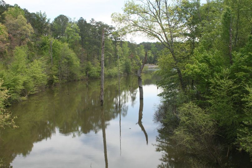 5- randy poynter reservoir