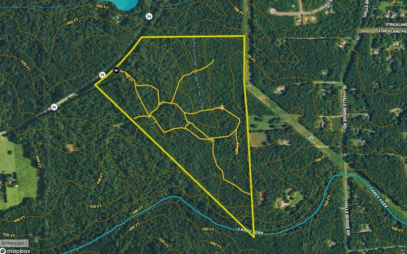 Butts county 95.06 acres map2