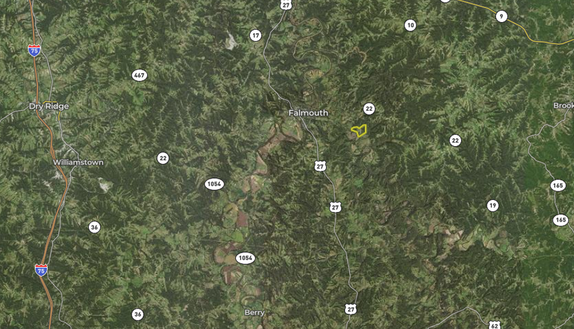 Screen shot 2021-08-30 at 12.17.04 pm