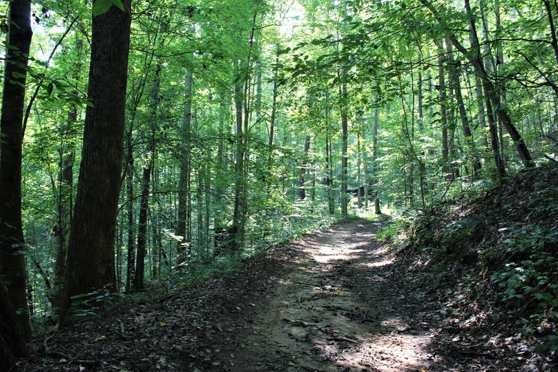 040 one of the many well groomed woods trails