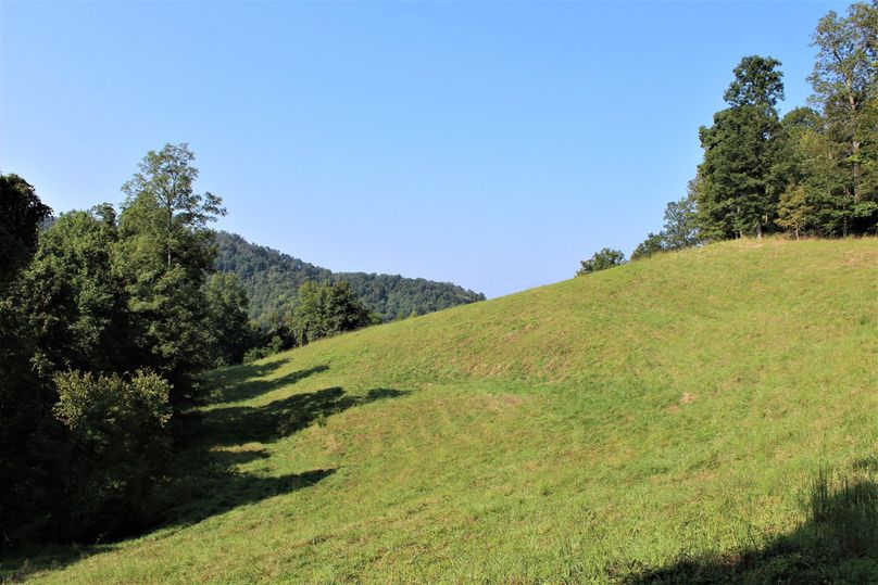002 upper field shot near the east edge of the property