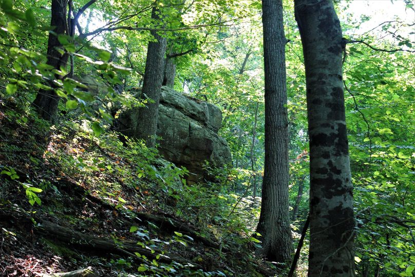 007 some rock boulders along the north ridge boundary
