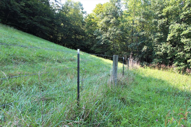 005 much of the property is fenced for pasture