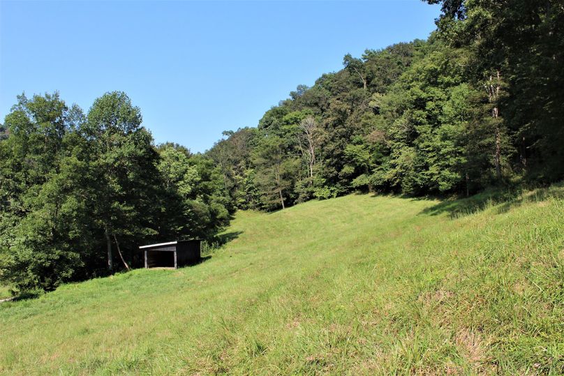 006 the goat shed and small field on the north side of the road