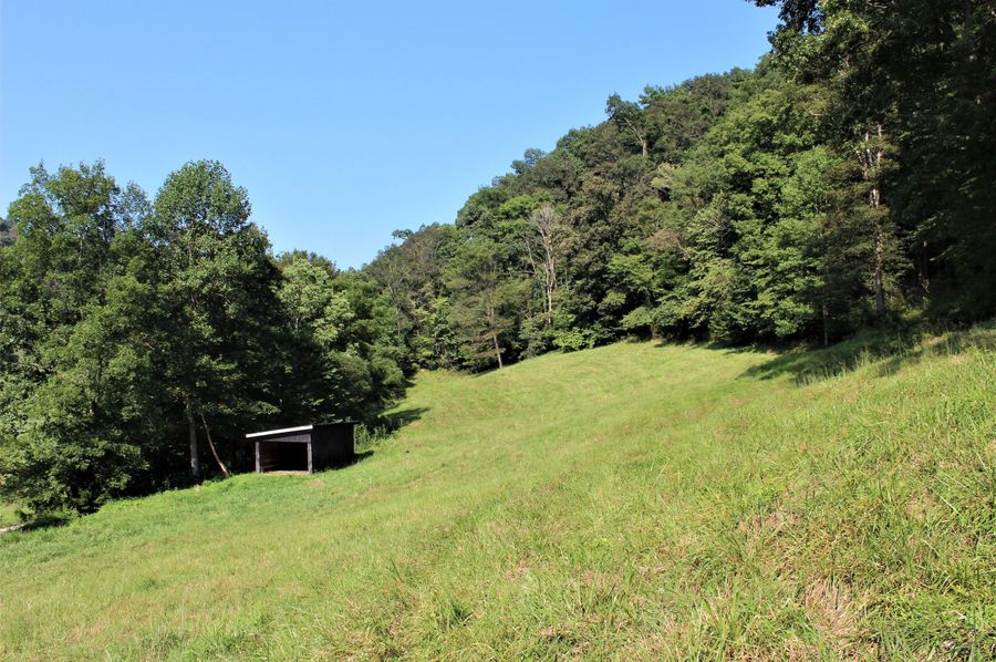 006 the goat shed and small field on the north side of the road