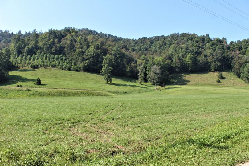 010 the rolling fields near the creek west of the home