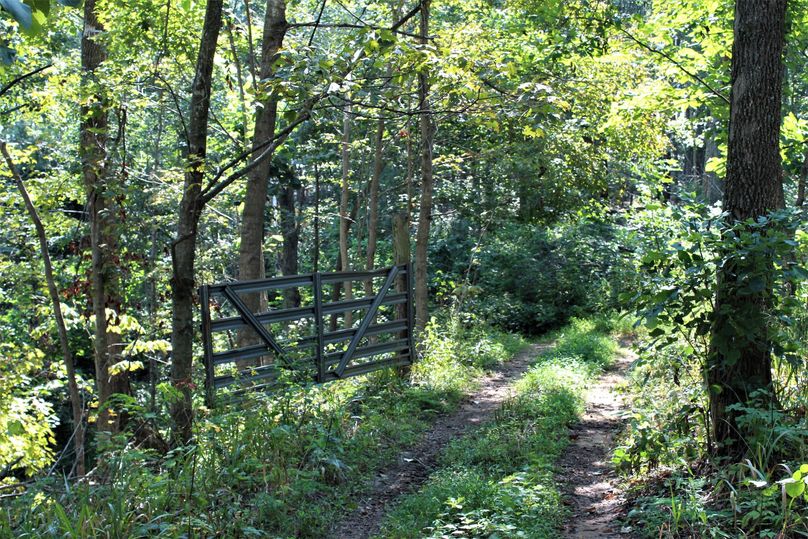014 gated access to one of the pasture fields up along the ridge along the south boundary