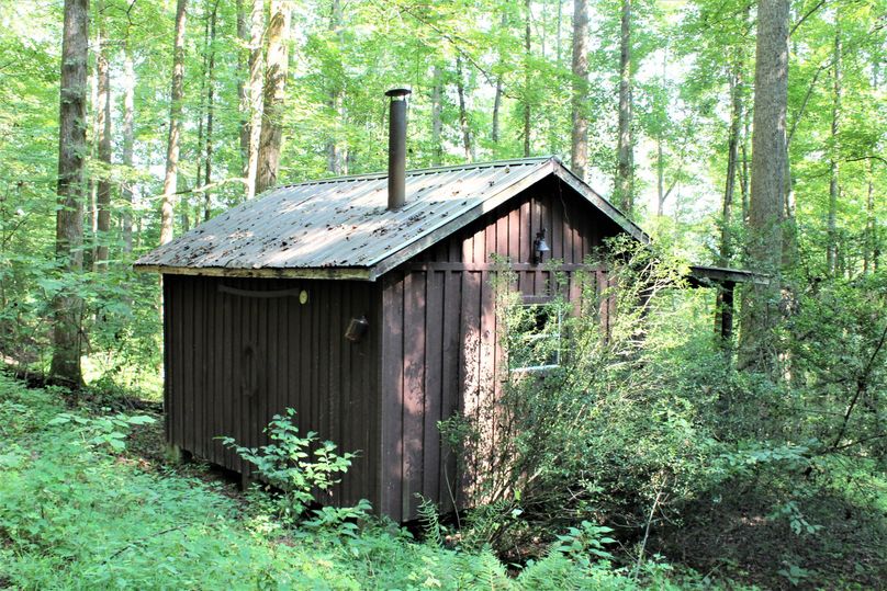 019 back view of the little cabin in the woods for adventurous getaway
