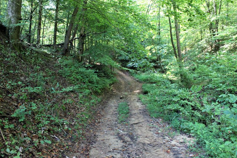 022 trail network leading up the valley behind the barn