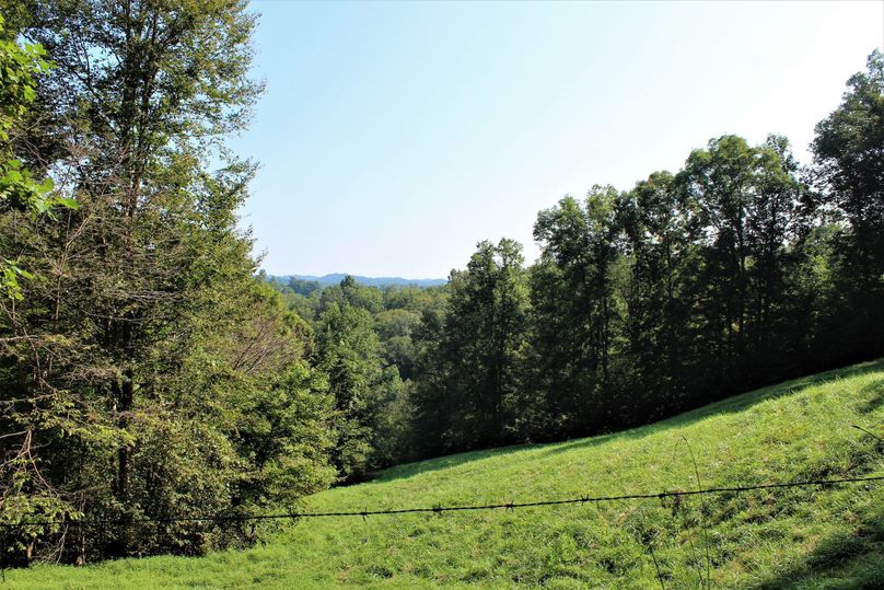025 mid level pasture field in the south portion of the property