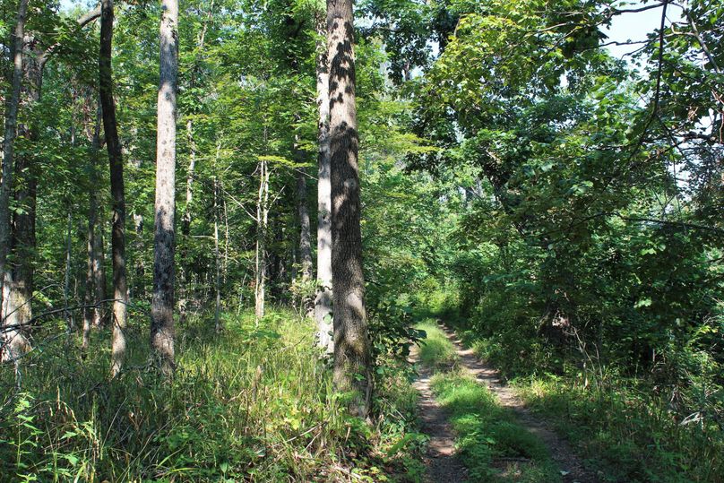 033 main line trail leading along the south ridge