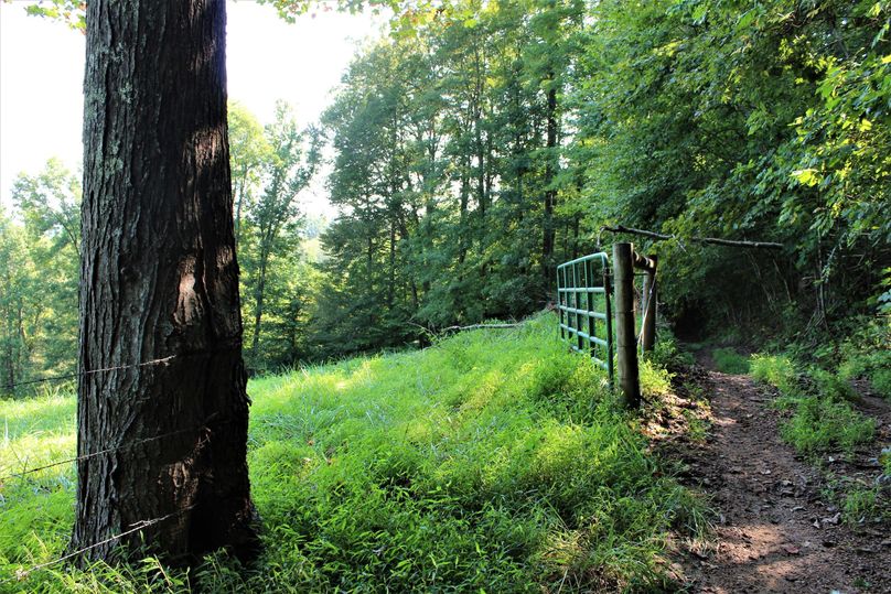 034 another of the mid level pastures along the south slope