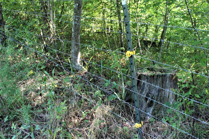 035 the fenced boundary along the far east boundary