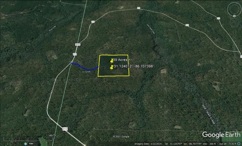 Aerial 4 approx. 39 acres escambia county, al