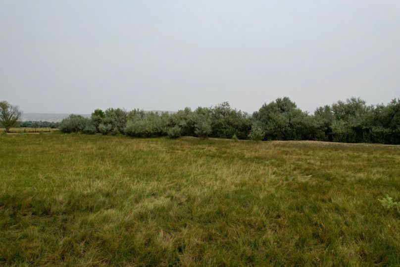 A7903e41-9e69-4b70-b111-faffb4054c94 1 105 c