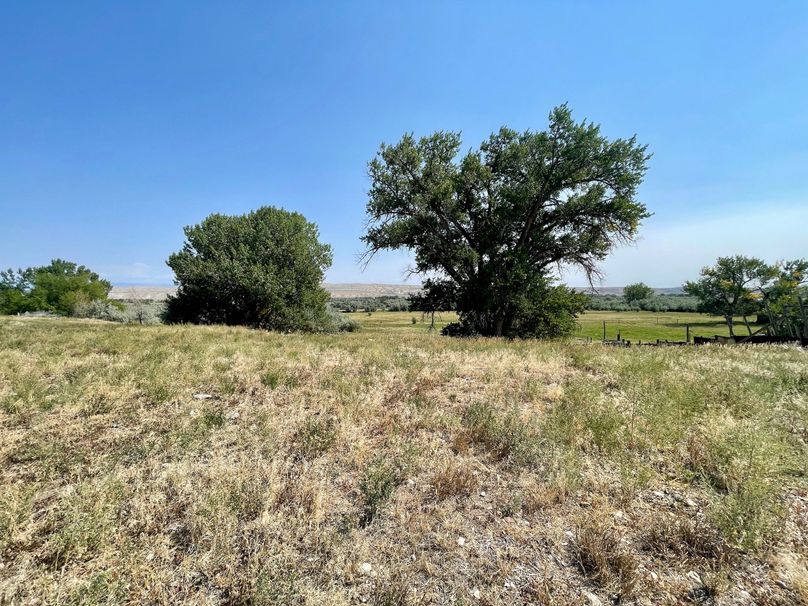 Eb9180f8-9085-471f-b4c2-5c3c91afb4cd 1 201 a