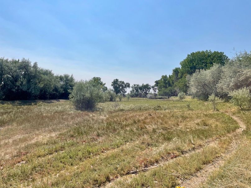 F3e8dbaf-a8d6-4061-9433-e12f13952522 1 105 c