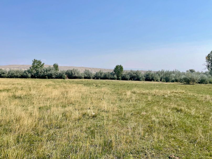 Ffc00687-4b3f-4c20-a69e-152681a6896e 1 201 a