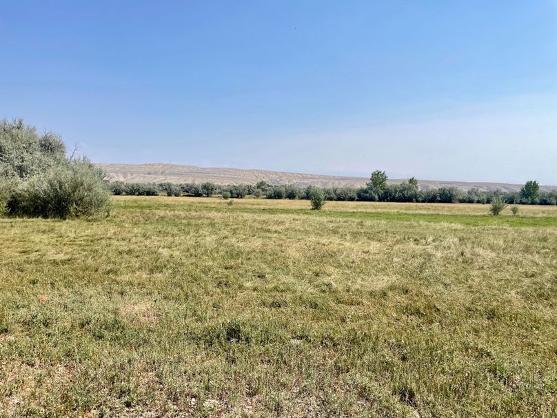 1e49bbb7-4f67-4abf-8250-a517154ff29d 1 105 c