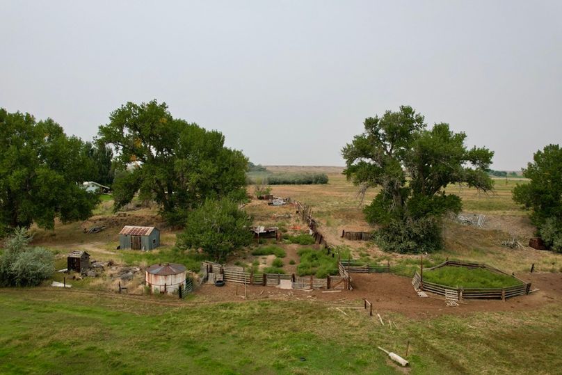 450701e9-4412-4dae-a925-3cde635f7101 1 105 c